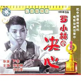 【剧情片】罗小林的决心