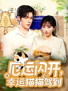 【短剧】厄运闪开，幸运猫猫驾到